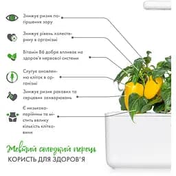Змінний картридж Click & Grow Smart Garden Жовтий солодкий перець, 3 капсули (8950) - мініатюра 4