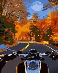 Набор для росписи по номерам На мотоцикле осенью, Strateg, 30x40 см, SS6761