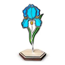 Набор для витражной живописи по номерам "Нежный ирис" Fabrika Decoru FDSGK-013