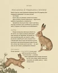 Колесо року. Ілюстрований путівник ритмами природи - мініатюра 8