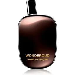 Парфумована вода Comme Des Garcons Wonderoud 100 мл тестер