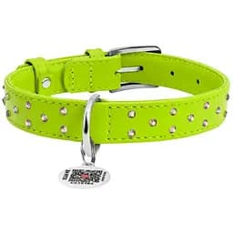 Нашийник для собак Waudog Glamour, шкіряний, зі стразами, з QR паспортом, XL, 38-49х2 см, салатовий