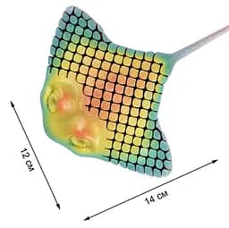 Іграшка антистрес 3D друкований рухомий скат з PLA 14.5 см Помаранчевий (6901560892521) - мініатюра 2