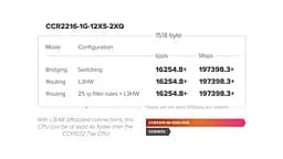 Маршрутизатор MikroTik CCR2216-1G-12XS-2XQ - мініатюра 5