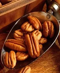 Саджанець Agro-Market Горіх Пекан Barton саджанець 3 роки (невибагливий, високоврожайний) 1 шт. в упаковці (179042)