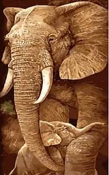 Набор для росписи по номерам Слоник с мамой, Strateg, 50x25 см, WW034