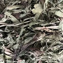 100 г стевия медовая трава сушеная свежий урожай