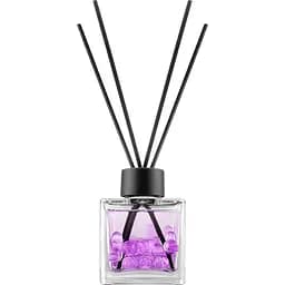 Аромадиффузор Elix Berry Paradise с шариками 100 мл