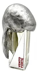 Парфуми Filippo Sorcinelli Vento Forte 50 мл 