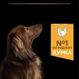 Сухий корм Purina Pro Plan Adult Small & Mini для дорослих собак дрібних порід з куркою 3 кг (12272216) - мініатюра 7