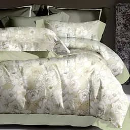 Комплект постільної білизни Viluta євро Єгипетська бавовна 46_EB_ev