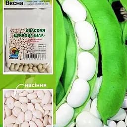 Квасоля "Цукрова біла" (Зипер) ТМ "Весна" 5г (22910)