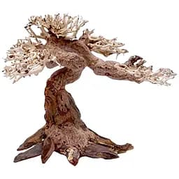 Декорація коряга Amtra Oriental Wind-5 30х10х20 см східний вітер