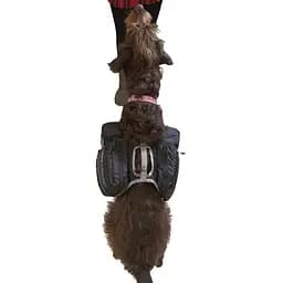 Рюкзак для собак Ultimate Direction Dog Vest Black M (1012-80469820-BK-M) - мініатюра 6