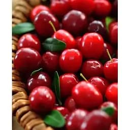 Саджанець Agro-Market Брусниця Корал (середній термін дозрівання, плодоносить двічі на сезон) 1 саджанець (21317)