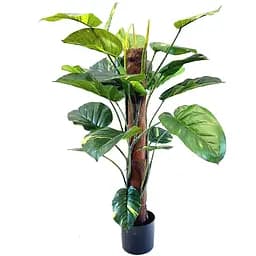 Епіпремнум Hvoya на опорі 100 см