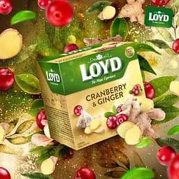 Чай фруктовий Loyd Oyd Cranberry&Ginger журавлина імбир 40 г (20 шт. х 2 г) (3103566) - мініатюра 3