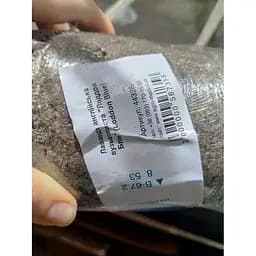 Саджанець Agro-Market Лаванда англійська вузьколиста Лоддон Блю (Loddon Blue) (44328) 1 шт. в упаковці - мініатюра 3