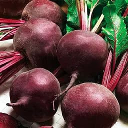 Насіння Весна Буряк Детройт 10кг 10 кг (103423)