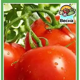 Семена Весна Томат Безрассадный 0.2 г (18768)