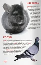 Велика книжка. Свійські тварини - - мініатюра 5