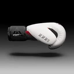 Боксерські рукавички Phantom 16 унций fit0011734 - мініатюра 6
