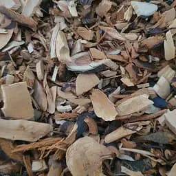 100 г терен/терн дикая слива корень сушеный - свежий урожай