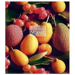 Тетрадь общая The sweet strange Школярик 096-3239K-4 в клетку 96 листов