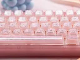 Ігрова механічна клавіатура Womier VK66 Pro / Дротове підключення / Womier POM Series Switches / Pink Lines - мініатюра 6