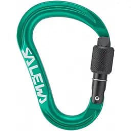 Карабін Salewa Ortles HMS M Carabiner Green (1054-013.003.1545)