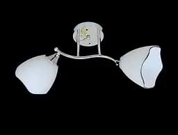 Люстра потолочная на 2 плафона 9823E/2 Хром