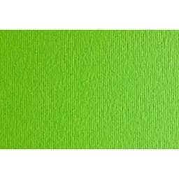 Папір для дизайну Fabriano Elle Erre А3 (29.7x42см) №10 verde picello 220г/м2 салатовий