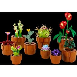 Конструктор LEGO Botanicals Мініатюрні рослини 758 деталей (10329) - мініатюра 3