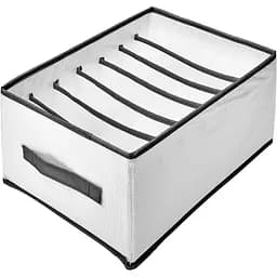 Коробка-органайзер Stenson 3225177J-WHITE для зберігання білизни 32х25х17 см 7 відділень біла (35591)