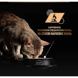 Вологий корм для домашніх дорослих котів Purina Pro Plan Adult Indoor з лососем 85 г (12457618) - мініатюра 6