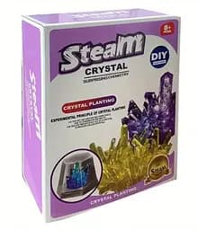 Набір для вирощування кристалів 1688-6 6 основ для кристалів, ємності, в коробці (6982755050049)