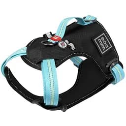 Шлея для собак Waudog Nylon безпечна з QR паспортом, металічна пряжка-фастекс, M, блакитний