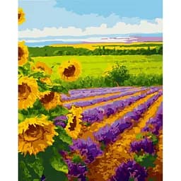 Картина за номерами ArtCraft Нескінченні простори 40x50 см (10589-AC)