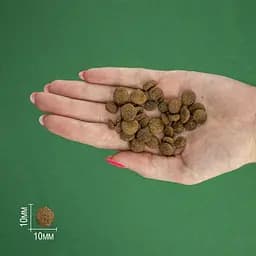Сухий корм для стерилізованих котів Bravery Herring Adult Cat Sterilized з оселедцем 600 г - мініатюра 6