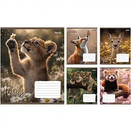 Набір зошитів 1 Вересня Wildlife is beautiful А5 18 аркушів у клітинку 25 шт. (769144)