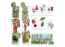 Настільна гра Headu Монтессорі. Вивчаємо природу (Montessori. Flashcards: My First Nature) (MU27842) - мініатюра 2