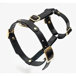 Шкіряна анатомічна шлея для собак "Classy" XL чорна (обхват грудини 75-89 см)