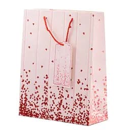 Подарунковий пакет, 26*32*10, L, Bag16