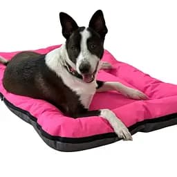 Лежак для собак DIEGO rest Сірий-фуксія - 3-розмір, фуксія