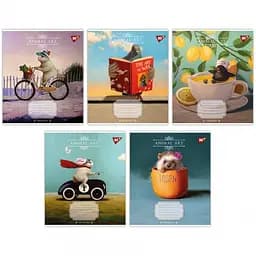 Зошити учнівські 18 аркушів клітинка Yes Animal art, 25 шт. в упаковці