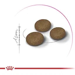 Сухий корм Royal Canin Exigent Fussy для дорослих котів з вибагливим апетитом 4 кг - мініатюра 6