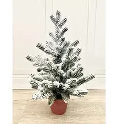 Ялинка Hvoya Traditional лита в горщику 50 см засніжена