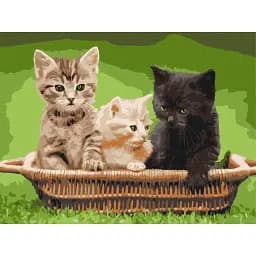 Картина по номерам Brushme Котята в корзине 30x40 см