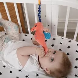 Вібропідвіска на коляску Macik Морський коник МС 110604-01 з прорізувачем - мініатюра 2