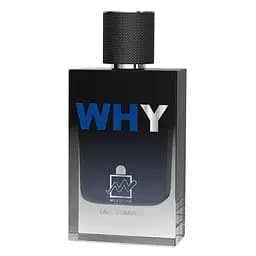 Парфюмированная вода мужская Milestone Why 100 мл (MM35968)